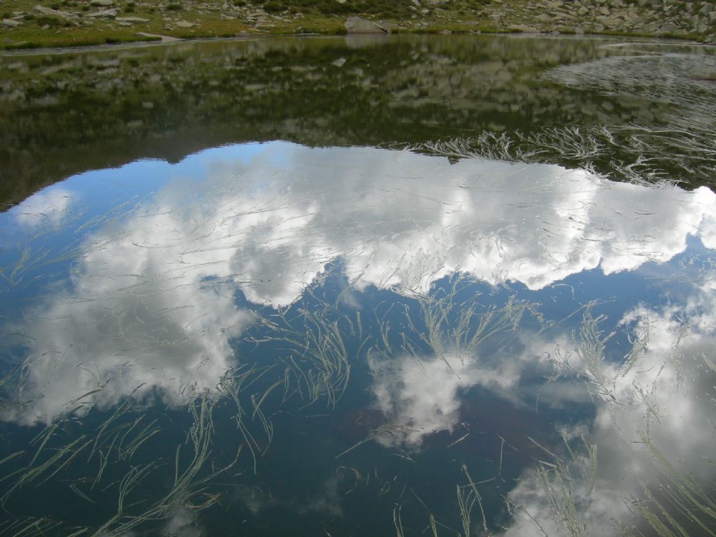 Laghi.......del TRENTINO